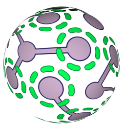WalT logo